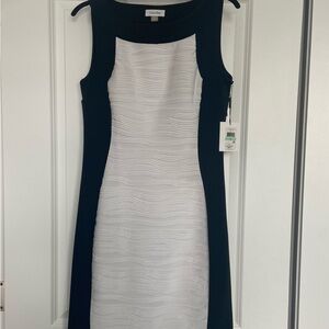 Calvin Klein Black and White fitted dress.